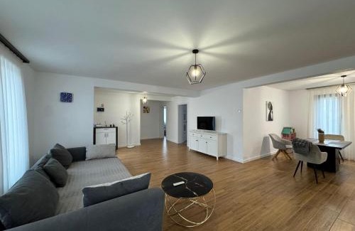 Oradea Villa | Discover Vila Andrea: Pet-Friendly Stay with High Ratings