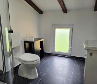 Ilirska Bistrica House | Vila Antik