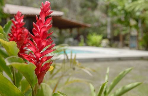 Arraial d'Ajuda House | Discover Vila Cipreste: Top-Rated Getaway in Arraial d'Ajuda