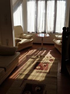 Campulung Moldovenesc Villa | Discover Vila Cody: Family and Pet-Friendly Retreat