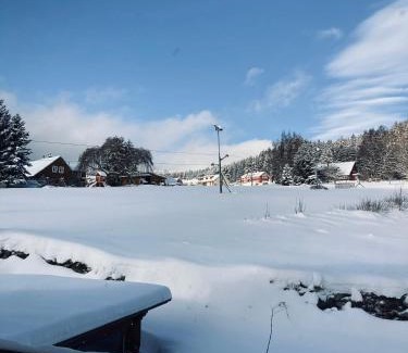 Pec pod Snezkou Villa | Pet-Friendly Retreat at Vila Daniela with Family Amenities