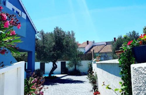 Murter Villa | Discover Vila Ena: Oceanfront Bliss with Top Amenities