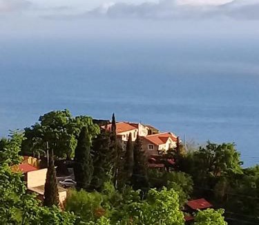 Lapcici House | Pet-Friendly Retreat at Vila Ena for Families and Friends
