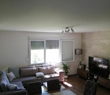 Lapcici House | Pet-Friendly Retreat at Vila Ena for Families and Friends