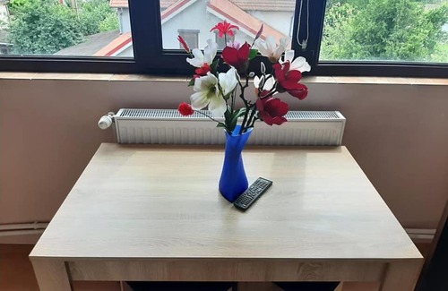 Valu lui Traian Apartment | Budget-Friendly Vila Gherghisan with Breakfast Included