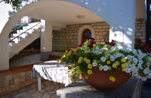 Sveti Filip i Jakov House | Guest Rated: Vila Jelena Studio Apartments in Sv Filip i Jakov