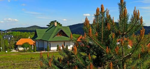 Divcibare Villa | Top-Rated Vila Mirna Divčibare: Family-Friendly Retreat