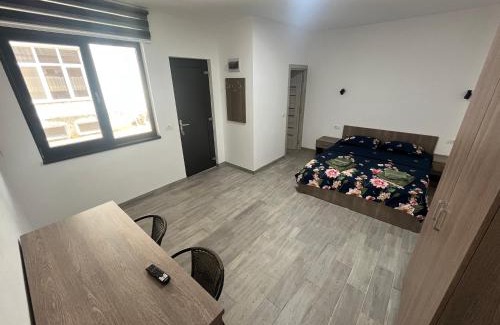 Lugoj House | Vila Nei: Guest Rated 9/10 with Family & Pet Amenities