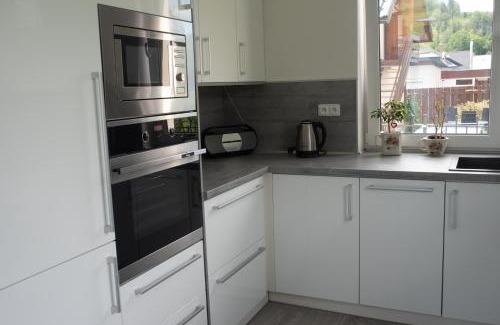 Roznov Pod Radhostem Villa | Pet-Friendly Vila pod Černou horou - Guest Rated 9.8/10