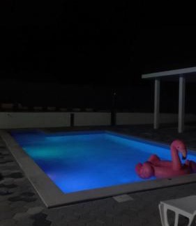 Sarajevo Villa | Pet Friendly Vila Sanela: Guest Rated 10/10 with Pool