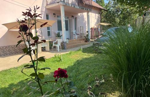 Salcia House | Pet-Friendly Retreat at Vila Siminica - Guest Rated 10/10