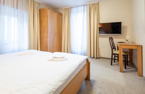 Trzic Hotel | Pet-Friendly Comfort at Vila Sofia for Family Getaways