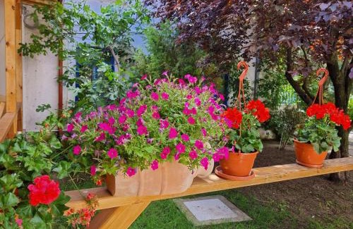 Techirghiol House | Family-Friendly Retreat at Vila Valeria Awaits You
