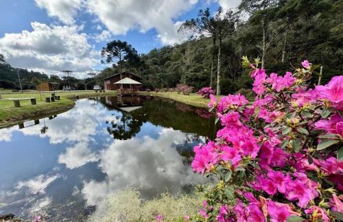 Rancho Queimado House | Vila Vert: Family-Friendly Pet Haven in Rancho Queimado