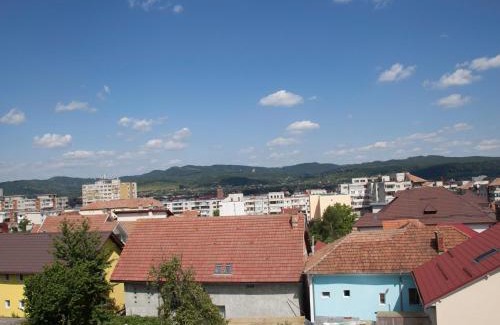 Ramnicu Valcea House | Unwind at Vila Victoria: Spa Retreat & Family-Friendly Fun
