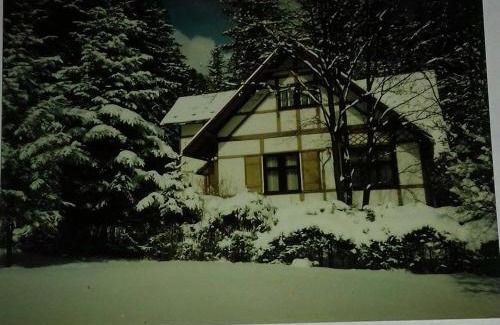 Tatranska Kotlina Cabin | Vila Zdenka: Oceanfront Escape with Spa and Pool Access