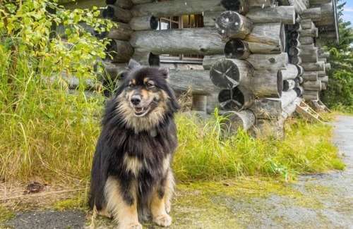 Syote House | Relax at Vilkkuna 20 a by Interhome with Lake View & Spa