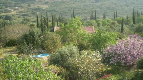 Klil House | Villa Adama: Guest Rated 9.5 with Breakfast Included