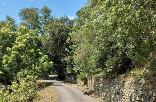 Ca Miro Apartment | Pet-Friendly Villa ai Sugheri with 10/10 Guest Rating
