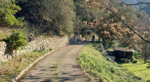 Ca Miro Apartment | Pet-Friendly Villa ai Sugheri with 10/10 Guest Rating