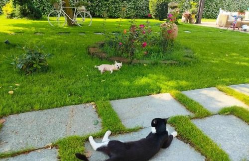 La Loggia Bed & Breakfast | Villa Albina: Guest Favorite with Breakfast & Pet-Friendly Stay