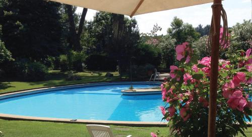 Zona LIII Tomba di Nerone Bed & Breakfast | Villa Albina: Oceanfront Retreat with Pool & Top Reviews