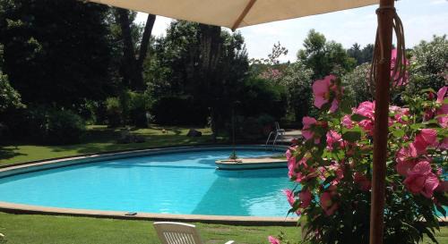 Zona LIII Tomba di Nerone Bed & Breakfast | Villa Albina: Oceanfront Retreat with Pool & Top Reviews