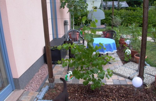 Woltersdorf Apartment | Villa Alexa: Family-Friendly Retreat with Pet Amenities
