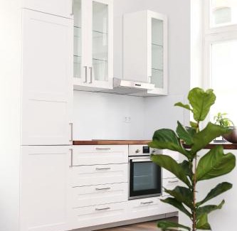 Bad Wildungen Apartment | Family-Friendly Stay at Villa Alexandra 1897 Wohnung Maria