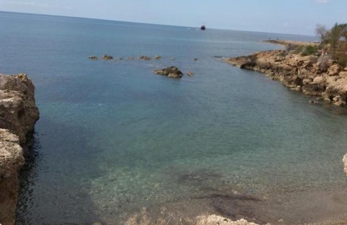 Chlorakas House | Villa Alice: Oceanfront Oasis with Pool & Perfect Reviews