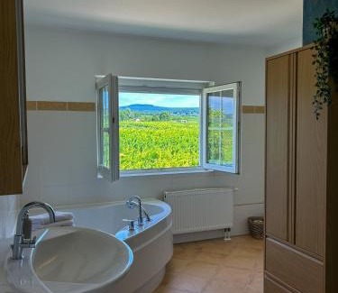Geisenheim Villa | Villa am Weinberg mit Garten großzügig und exklusiv