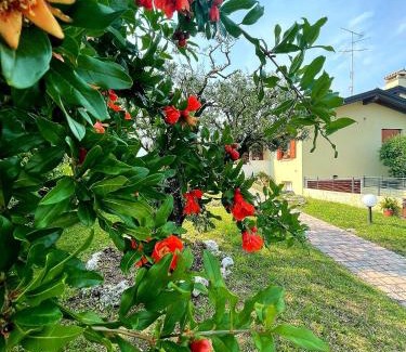 Pordenone House | Villa Ama: Oceanfront Retreat with Top Guest Ratings