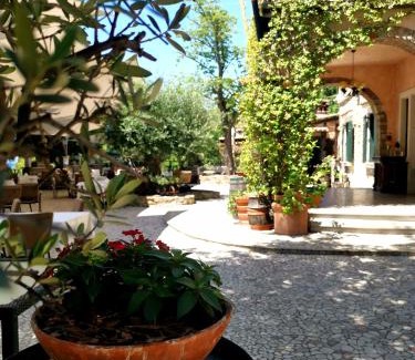 Ankaran House | Villa Andor: Oceanfront Retreat with Pet-Friendly Perks