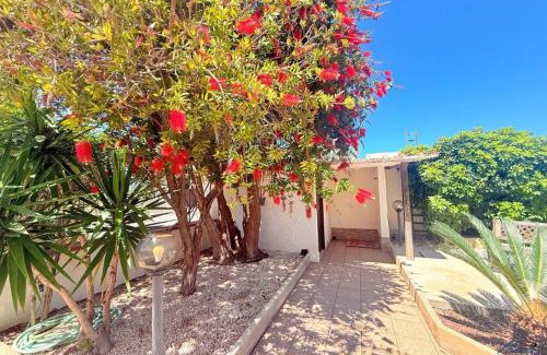 Trapani House | Relax at Villa Andrea: Your Oceanfront Oasis Awaits