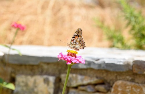 Aegiali Apartment | Discover Villa Andromeda: Family-Friendly Retreat, Rated 9.7
