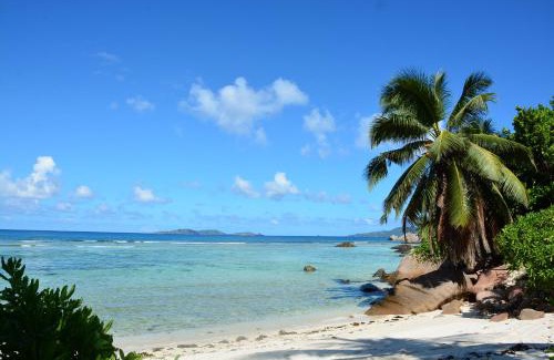 Anse la Blague Hotel | Discover Villa Anse La Blague: Oceanfront Bliss Awaits