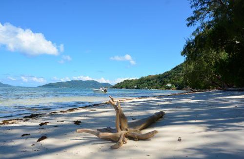 Anse la Blague Hotel | Discover Villa Anse La Blague: Oceanfront Bliss Awaits