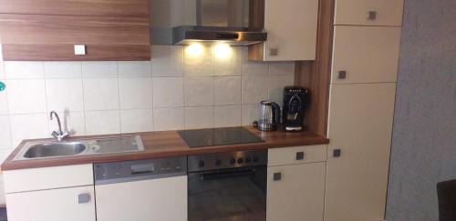 Bad Goisern Apartment | Cozy 2 Bedroom Apartment with Ocean View near Hallstatt
