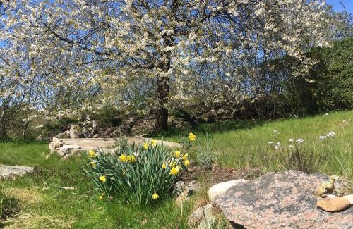 Apelgarden Apartment | Family-Friendly Escape at Villa Apelgården Tjörn