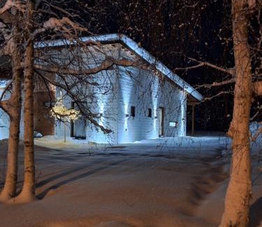 Rovaniemi House | Villa Arctic Light: Pet-Friendly Stay with 9.7/10 Ratings