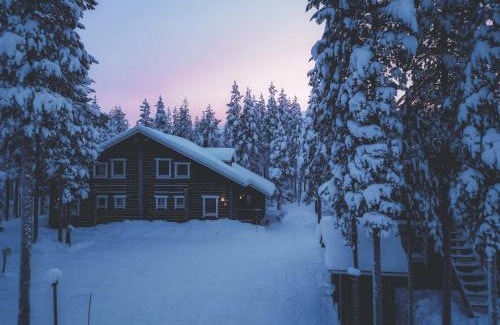 Sirkka Apartment | Experience Villa ArcticFox Levi: Pet Friendly Stay with Hot Tub