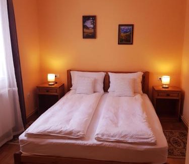 Baile Tusnad House | Villa Atriolum: Family-Friendly Retreat with Top Ratings