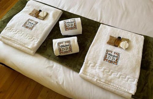 Cinfaes Villa | Villa Avó Zizi: Oceanfront Retreat with a 9.5 Guest Rating