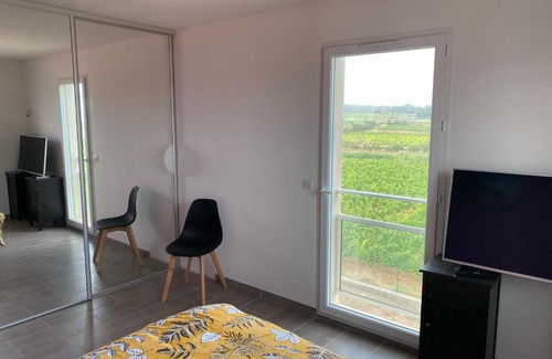 Pinet Villa | Scenic Villa with Vineyard Views Just 15 Minutes from Beaches