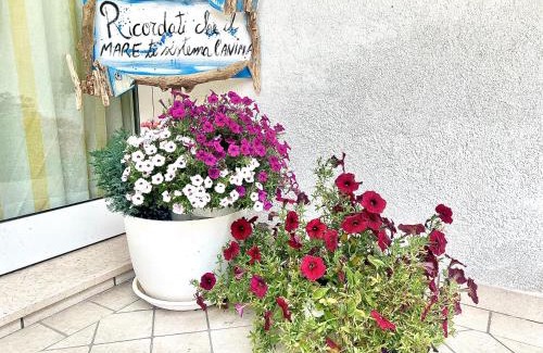 Lignano Pineta Villa | Beautiful Villa Azzurro Blu with Oceanfront Pool