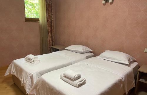 Ambrolauri House | Villa Baqs in Racha