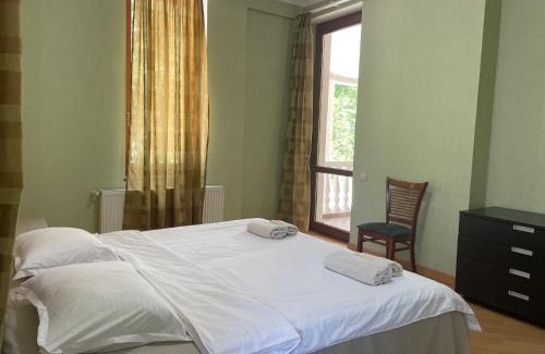 Ambrolauri House | Villa Baqs in Racha