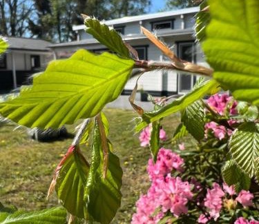 Schoonebeek Ski Chalet | Pet-Friendly Villa Bartje: Family Retreat with High Ratings