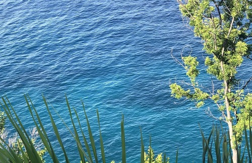 Great Cruz Bay Apartment | Villa Belvedere Oceanfront Suite A with a secluded pool and an AMAZING view!