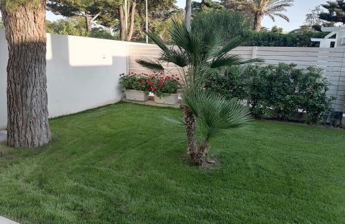 Rosa Marina Villa | Villa Benedetta: Oceanfront Retreat with Pet-Friendly Perks